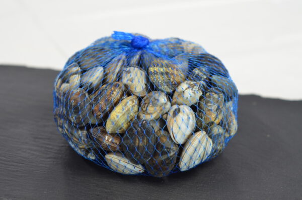 Vongole 1kg